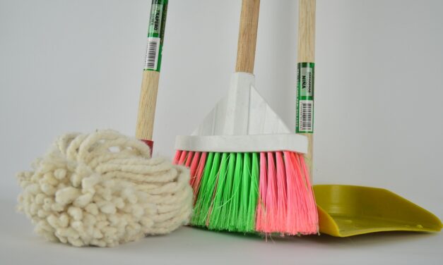 Discover the Benefits of Professional House Cleaning Services and How They Can Make Your Life Easier