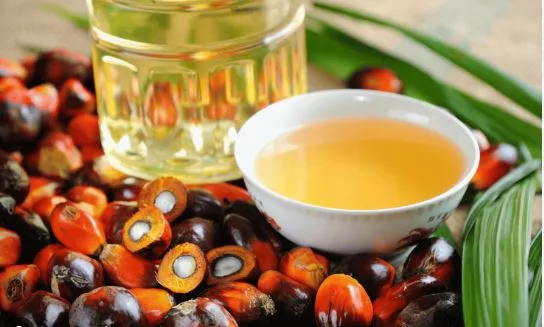 Batana Oil Brilliance: Unveiling the Secrets of Nature’s Beauty Elixir