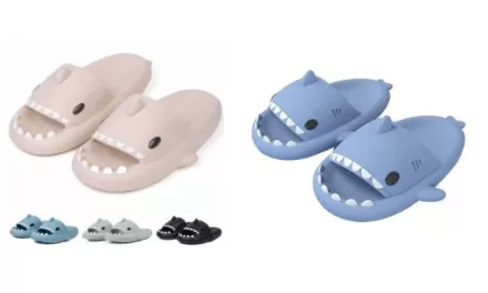 Shark Slides: Comfort and Style Combined